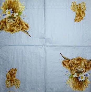 110 Dogs - 3-ply - Wrendale Designs - Hannah Dale